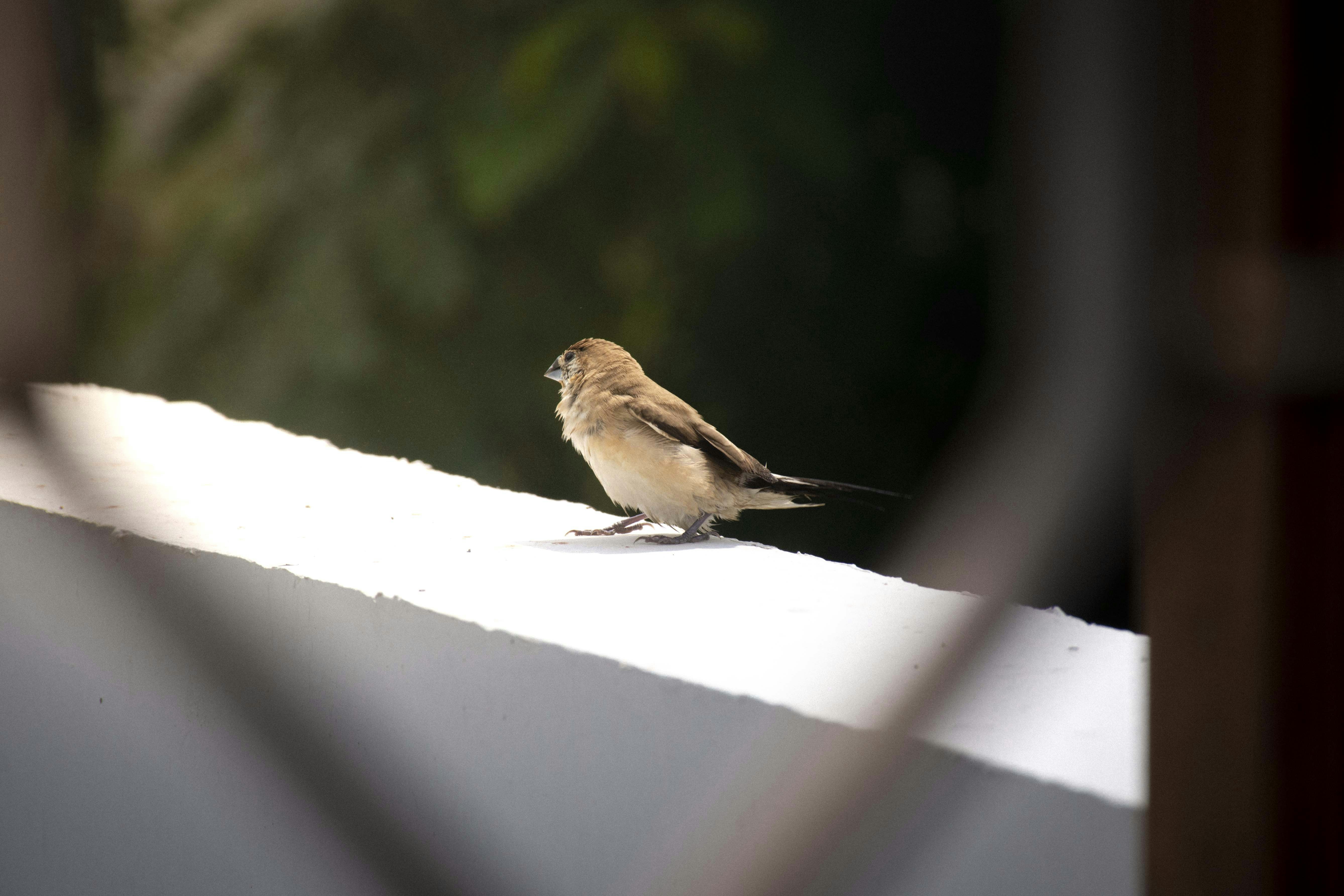 Photo by reetaish_kumawat