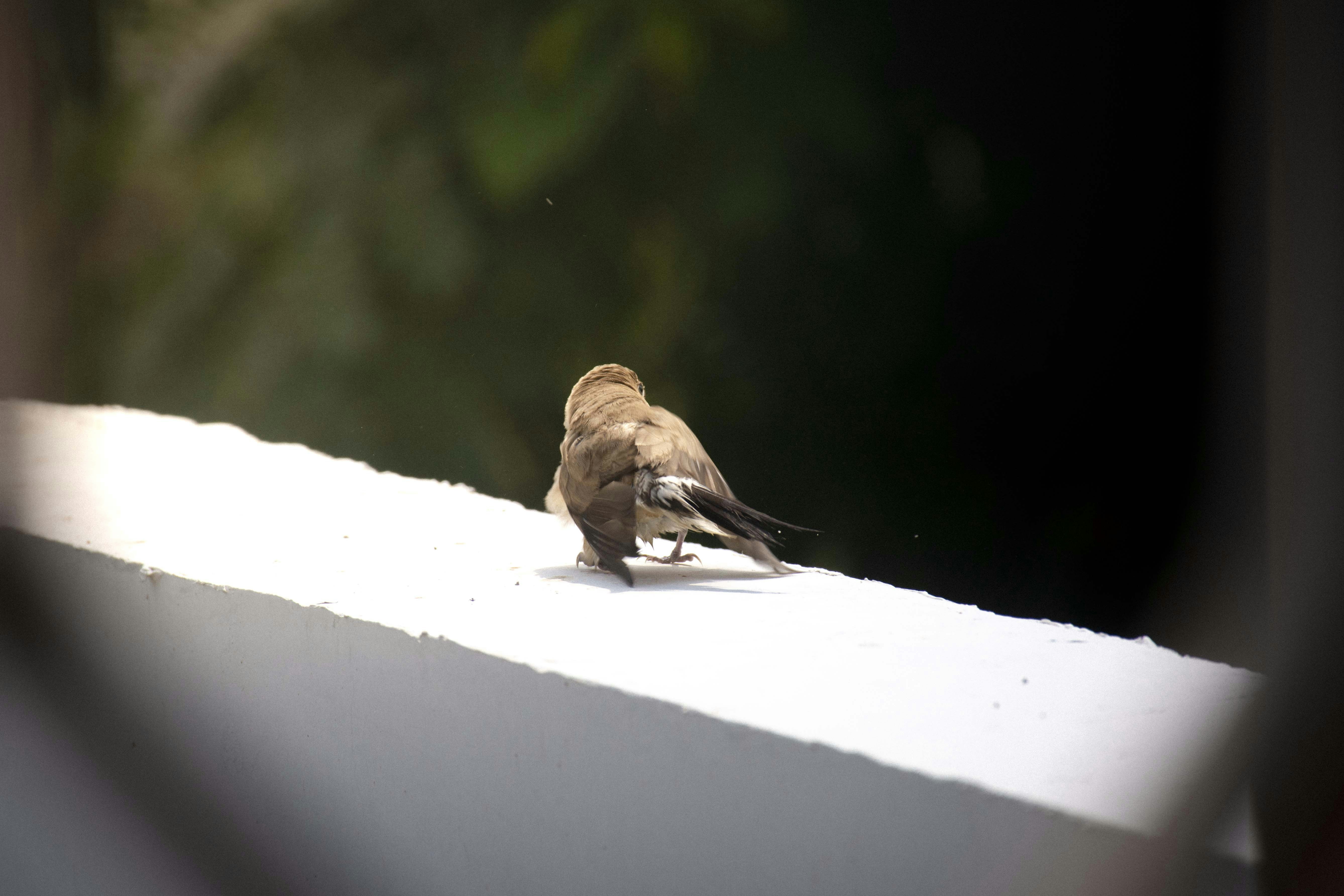 Photo by reetaish_kumawat