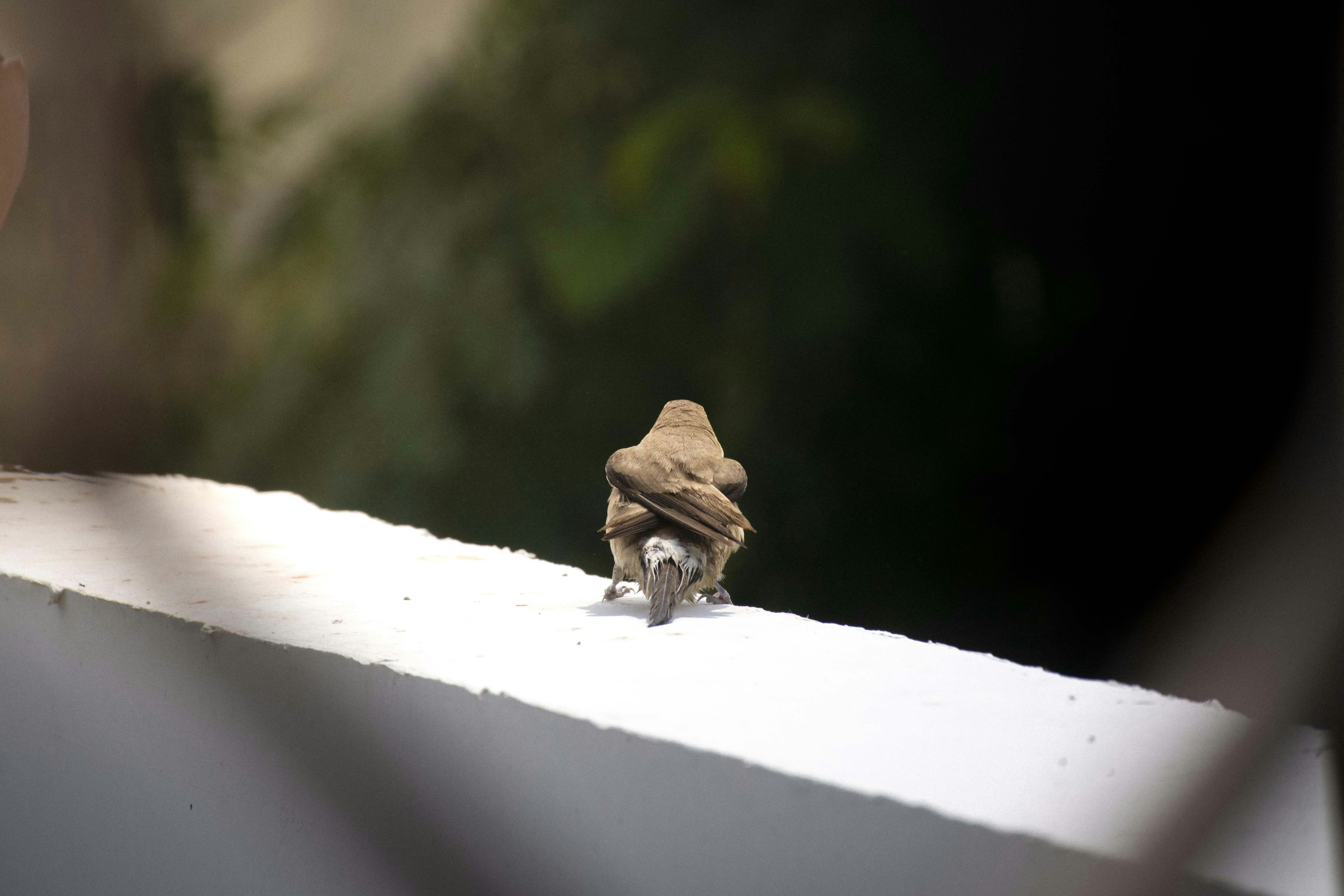 Photo by reetaish_kumawat