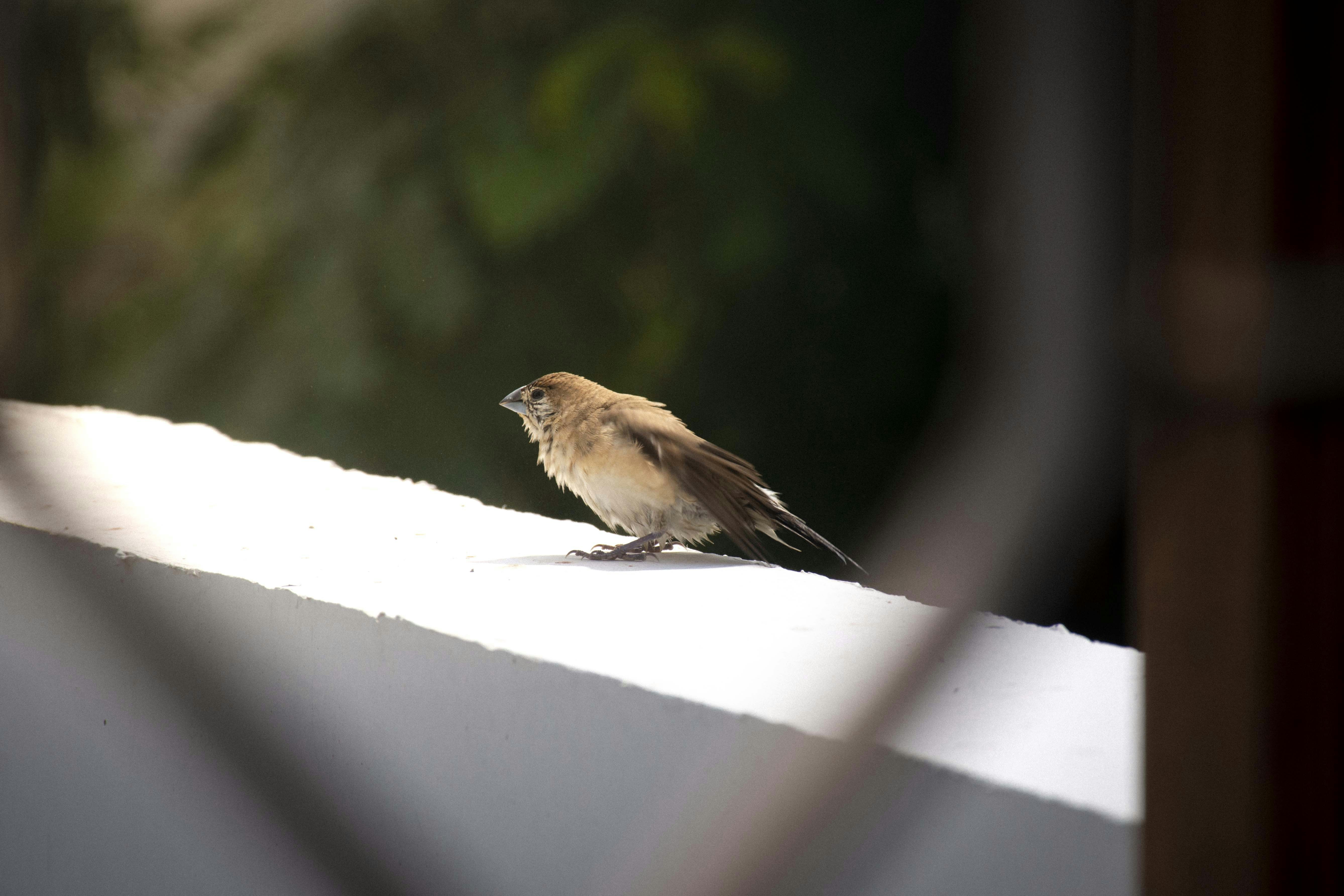 Photo by reetaish_kumawat