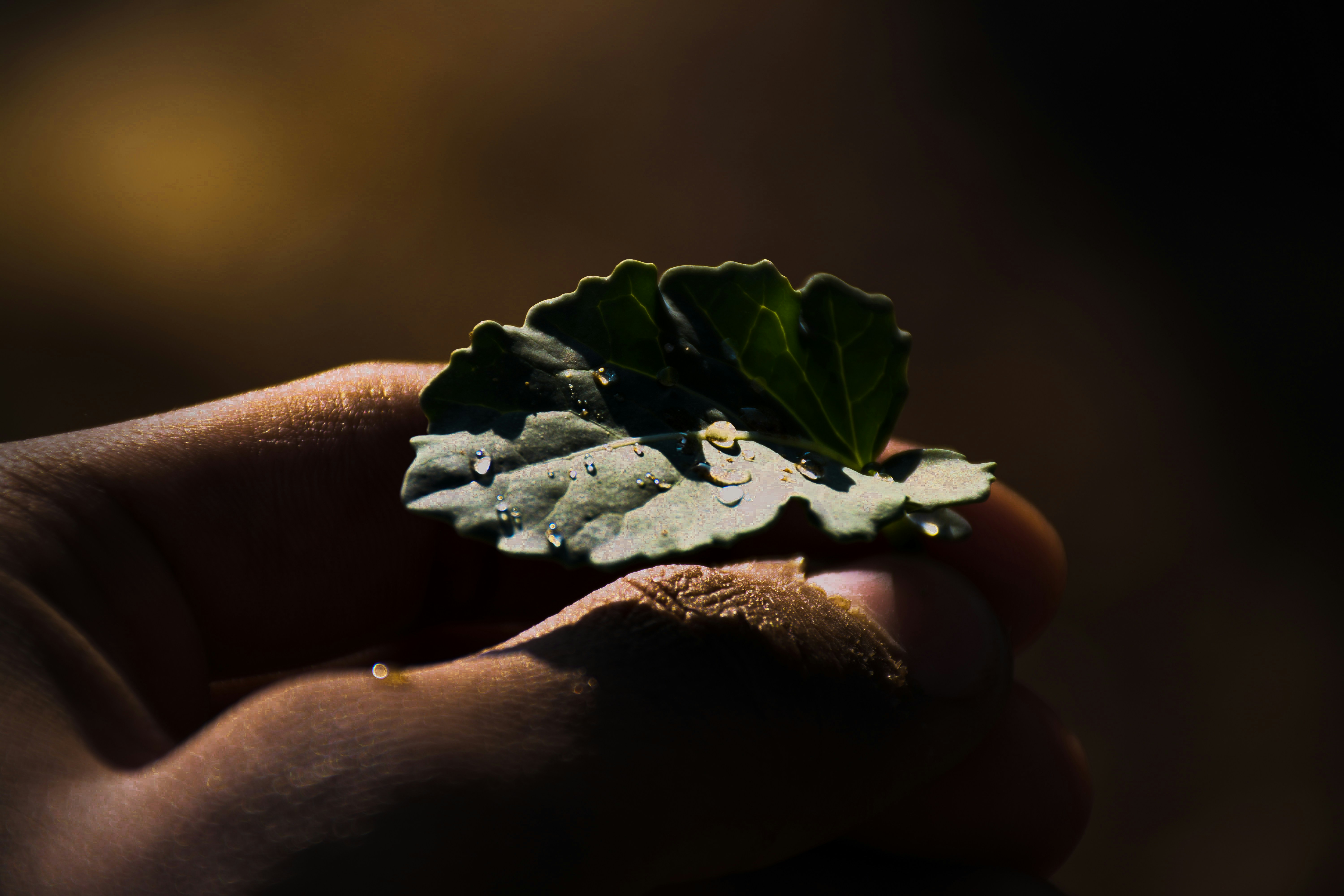 Photo by reetaish_kumawat