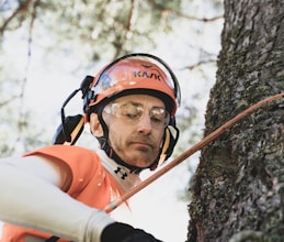 a man climbing up a tree in the forest