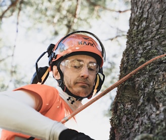 a man climbing up a tree in the forest