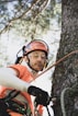 a man climbing up a tree in the forest