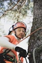 a man climbing up a tree in the forest