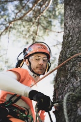 a man climbing up a tree in the forest