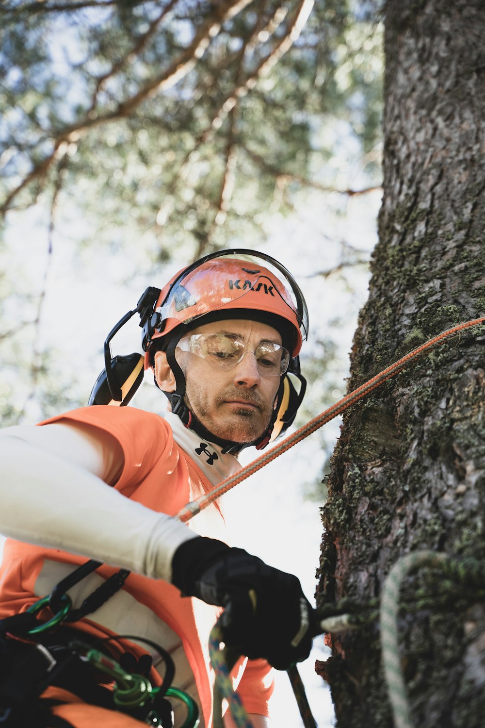 Ein Mann klettert im Wald auf einen Baum