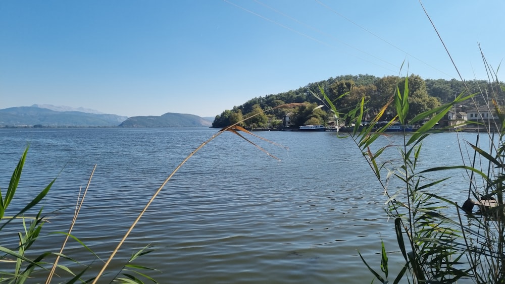 Un cuerpo de agua con una pequeña isla en el fondo