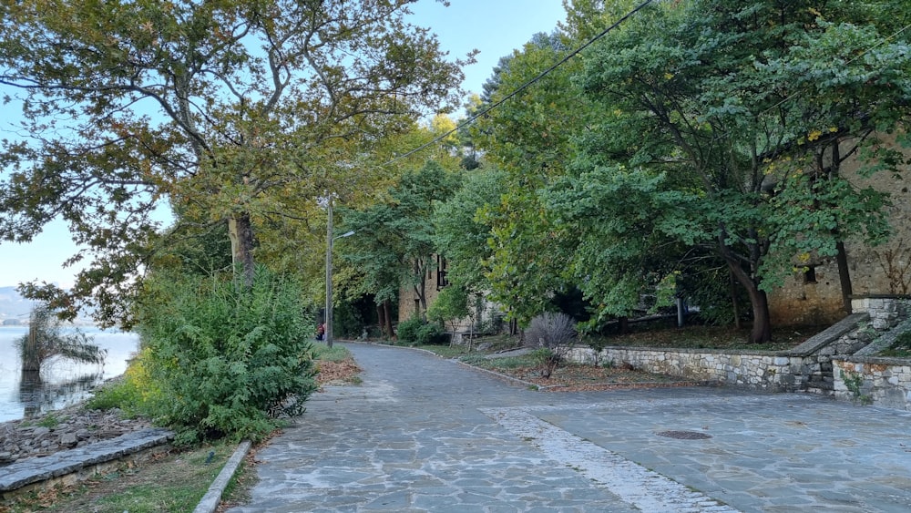 a cobblestone road with trees and a body of water in the background