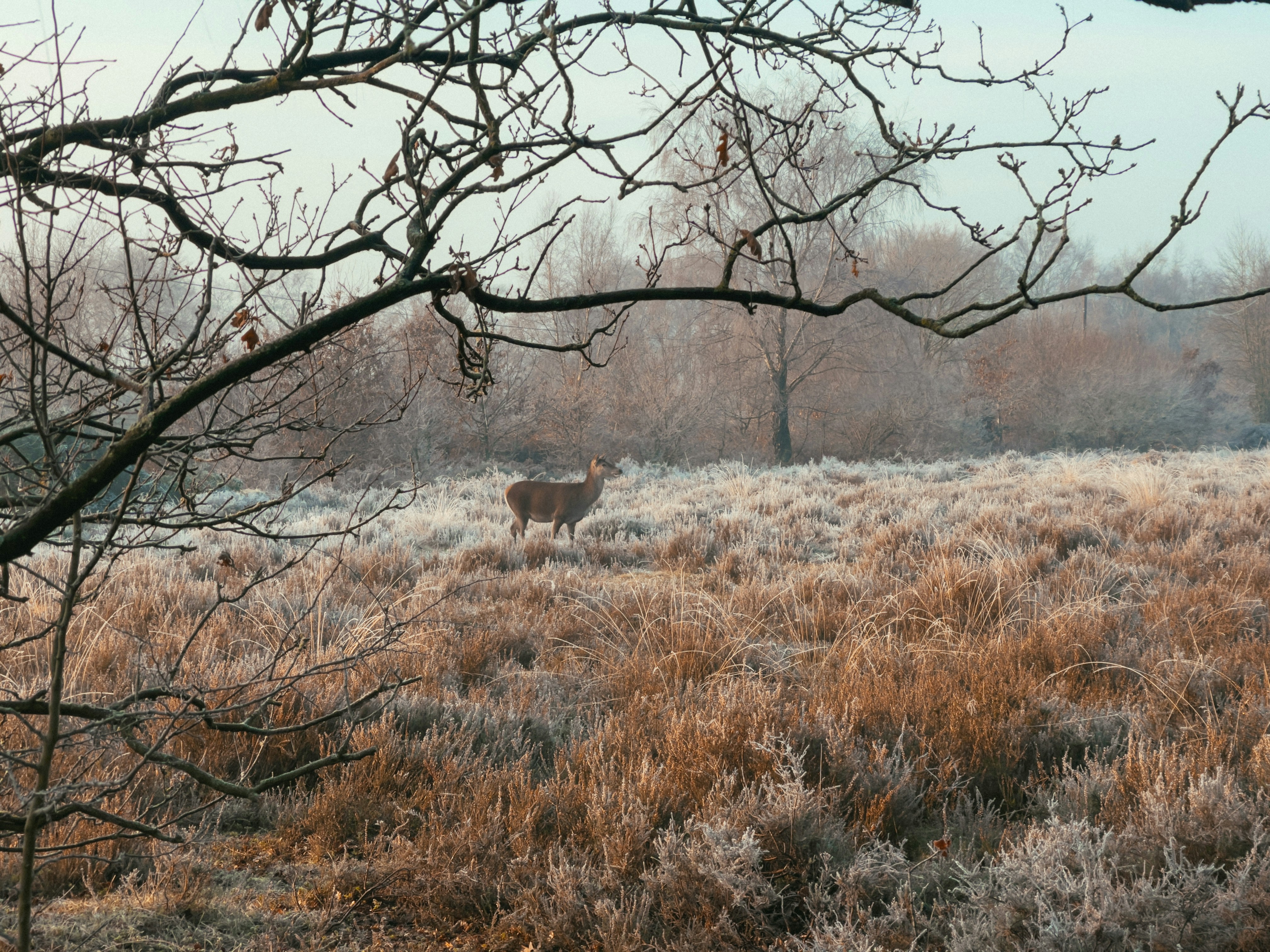 Photo by tomnickspics