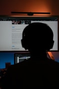a person sitting in front of a computer monitor