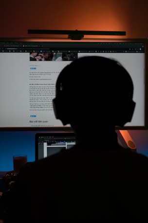 a person sitting in front of a computer monitor