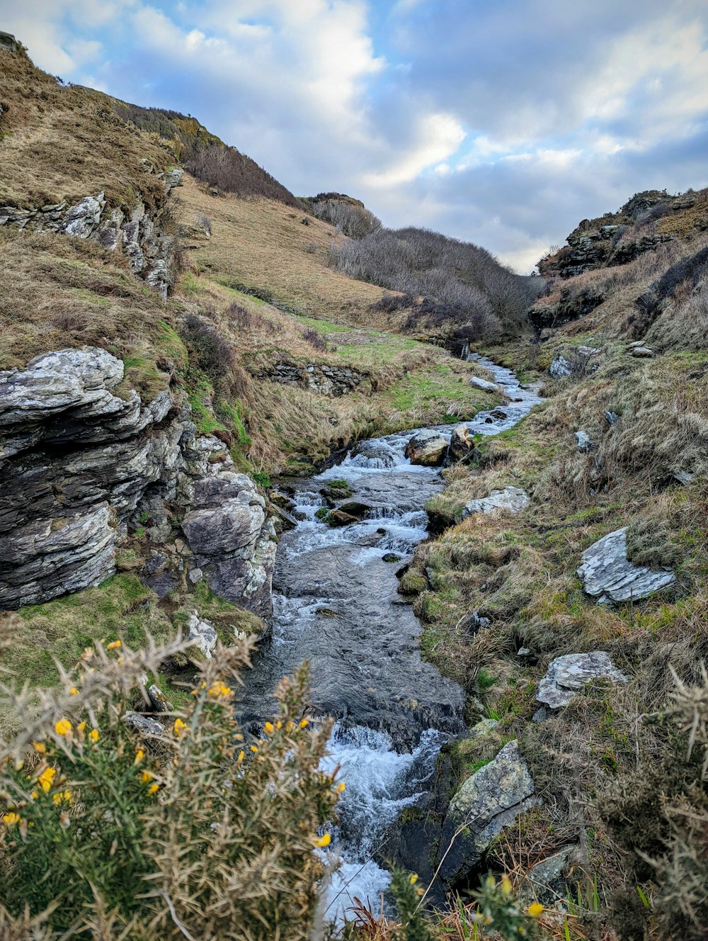 a stream running through a lush green hillside