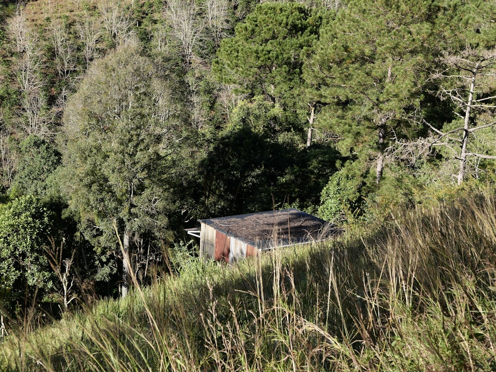 an outhouse in the middle of a forest