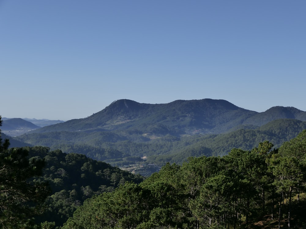 a view of a mountain range with trees in the foreground