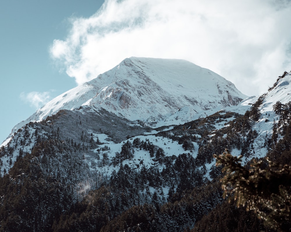 a snow covered mountain with trees in the foreground