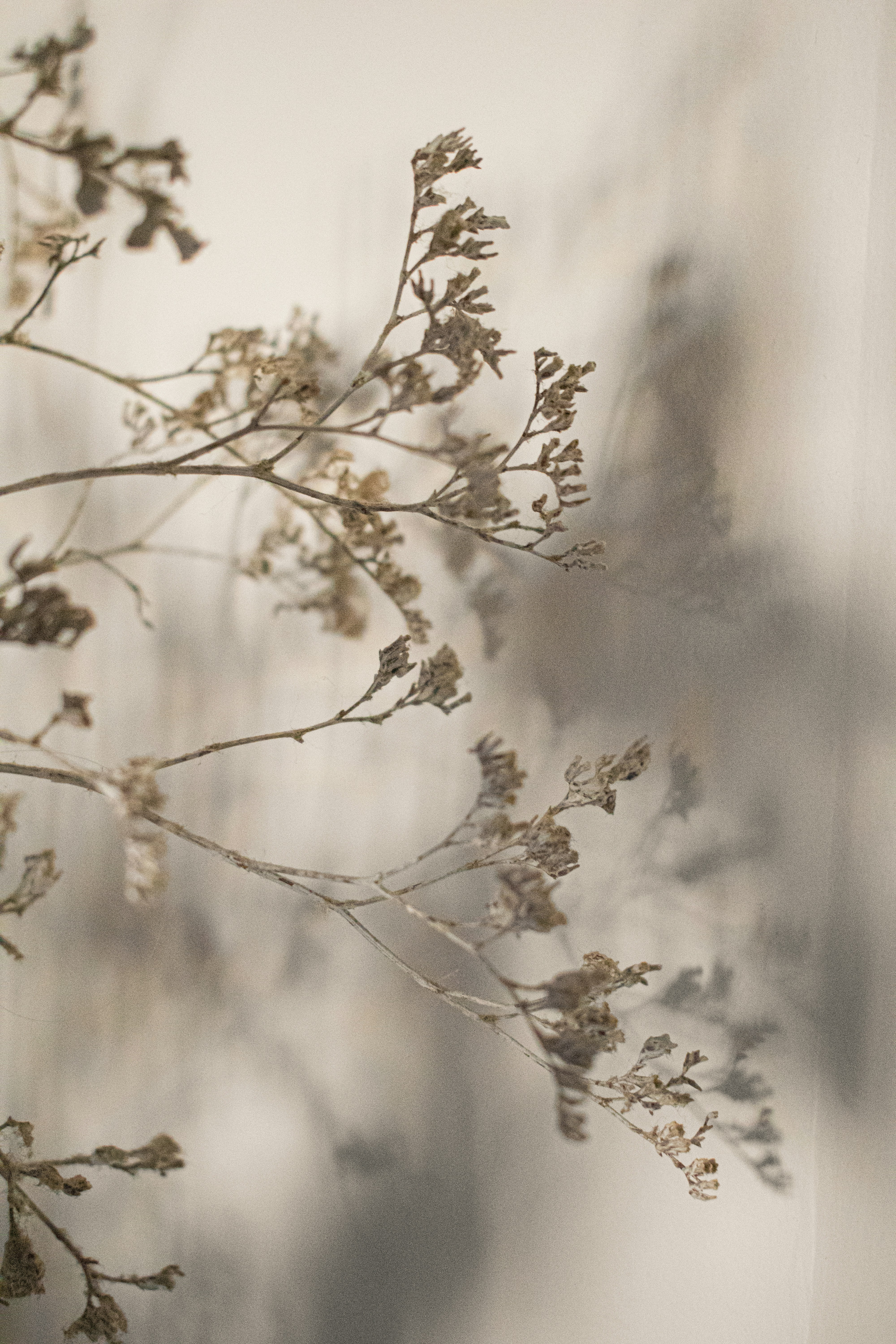 Photo by lorena_preda