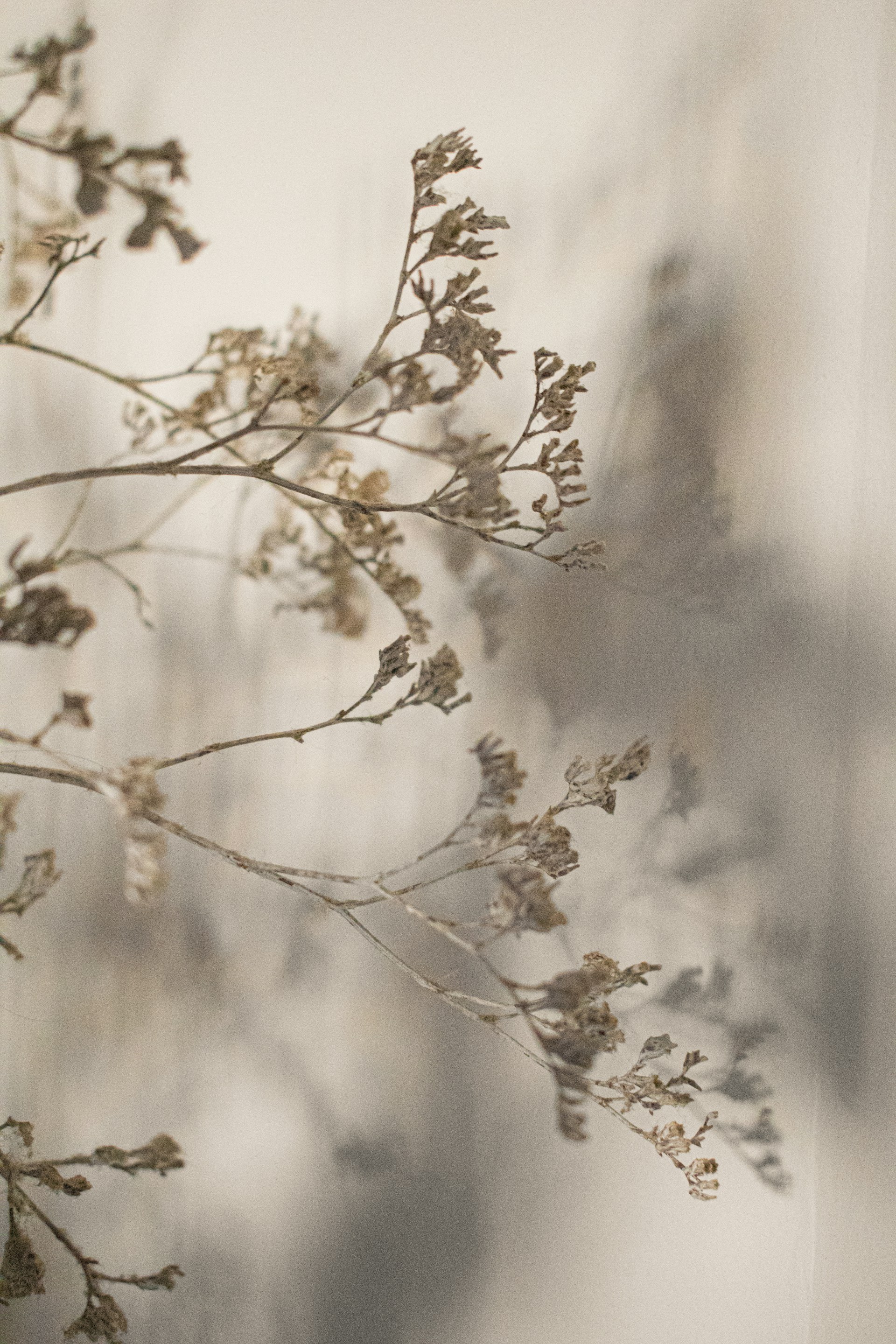 a vase with a plant in it sitting on a table