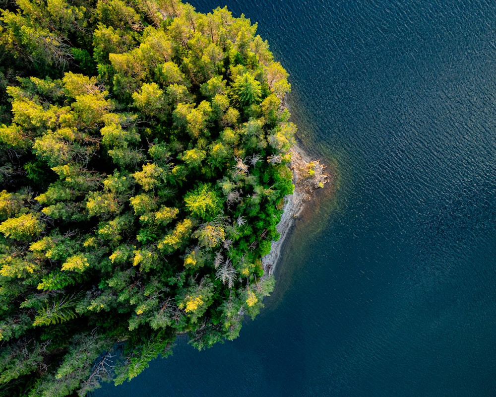 an aerial view of a lake surrounded by trees