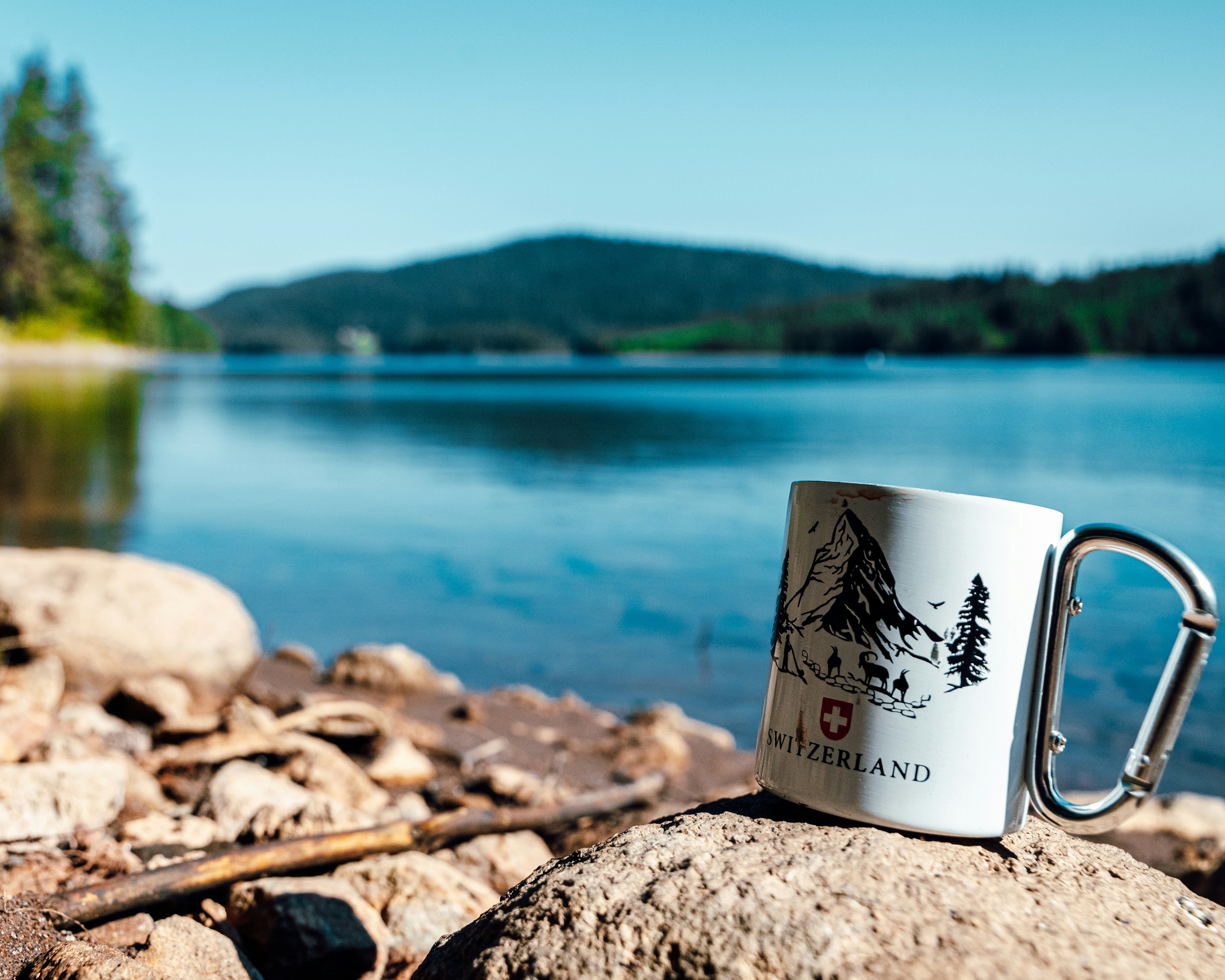 A quiet morning with a coffee mug overlooking the forest