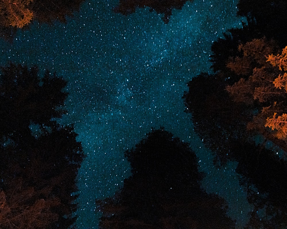 the night sky is filled with stars and trees