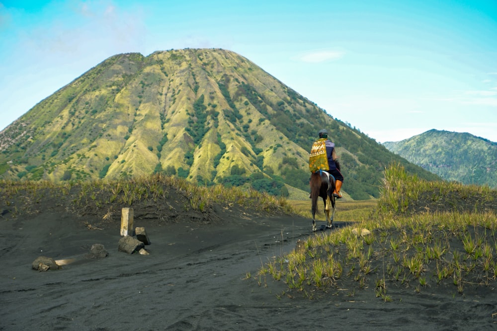 a person riding a horse on a dirt road