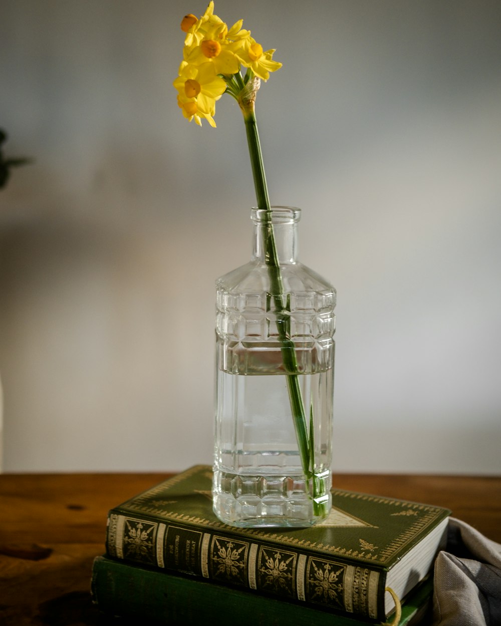 a glass vase with a single yellow flower in it