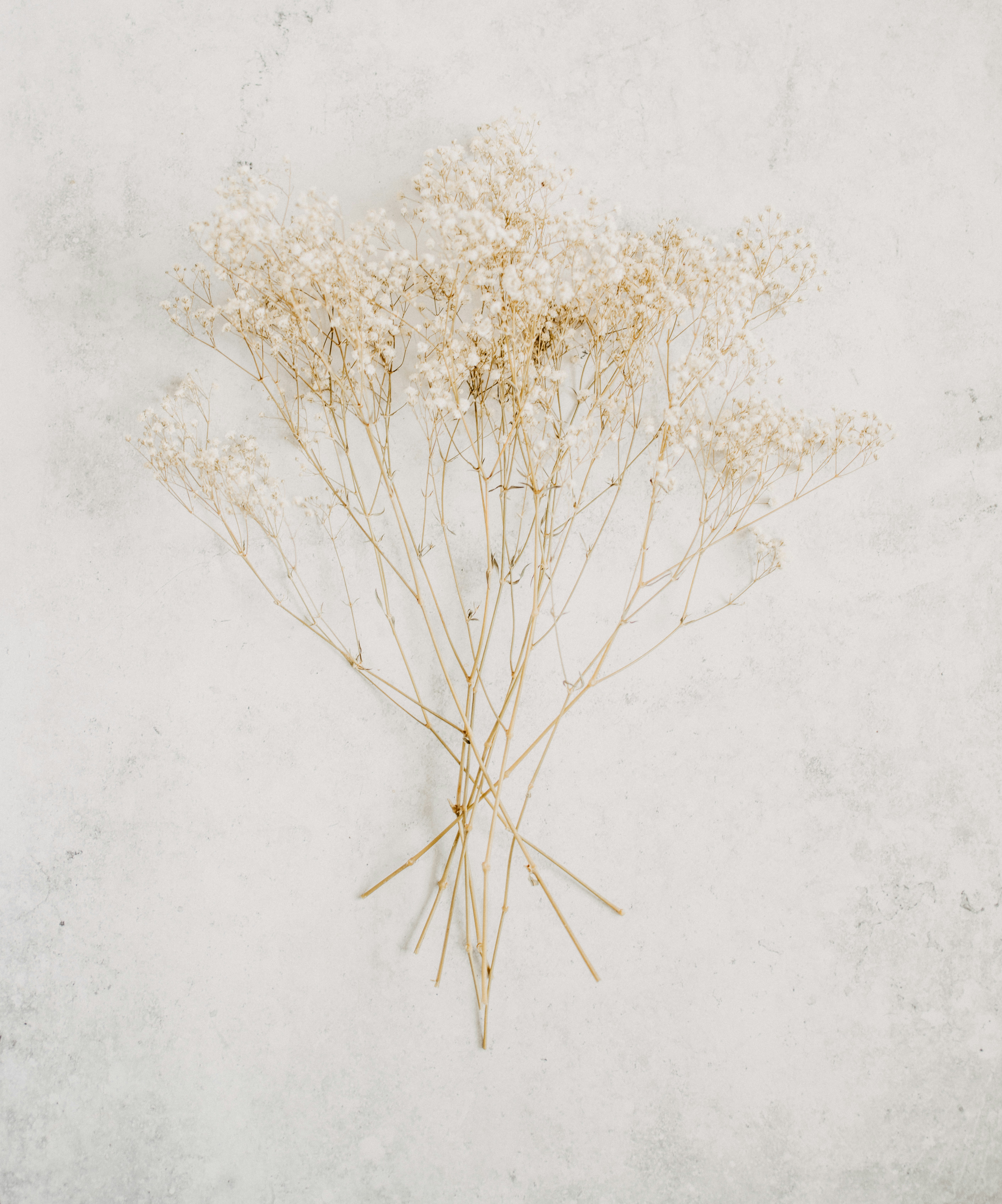 Photo by anniespratt