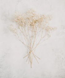 uitvaartbegeleiding LaForae Loosdrecht