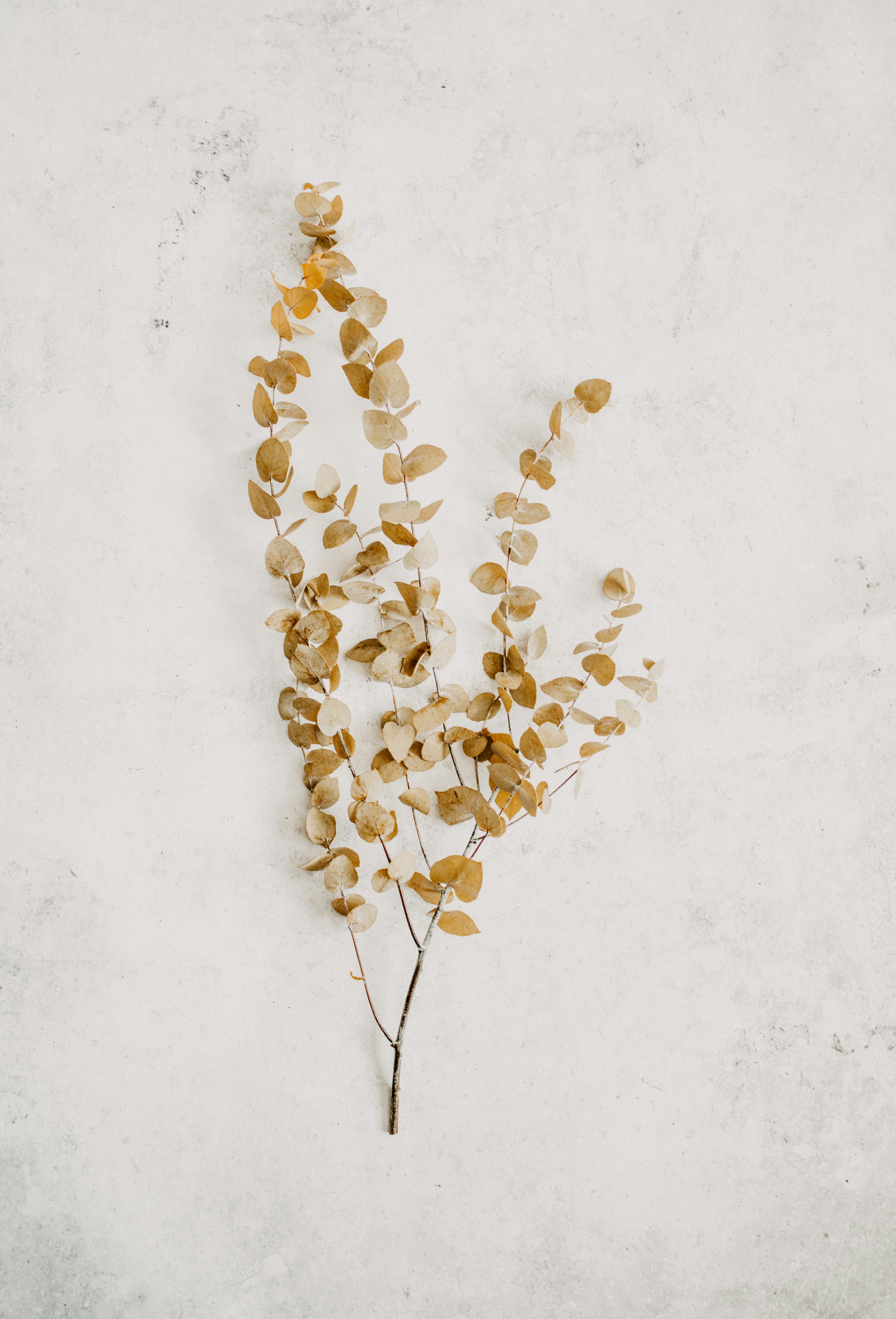 Photo by anniespratt