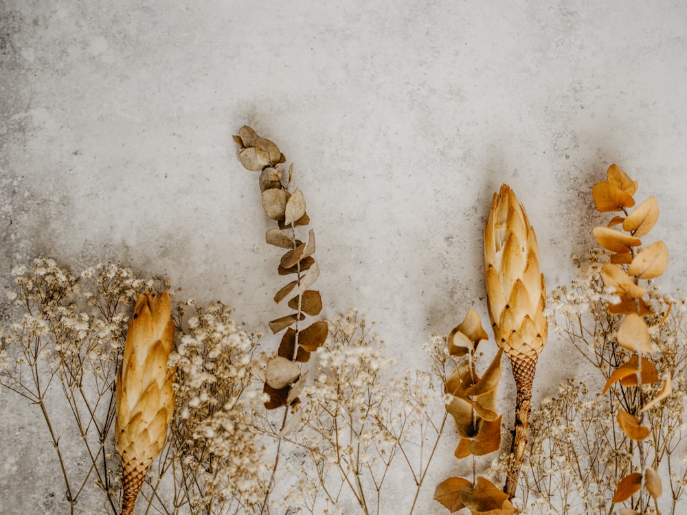 a group of breads sitting on top of a table