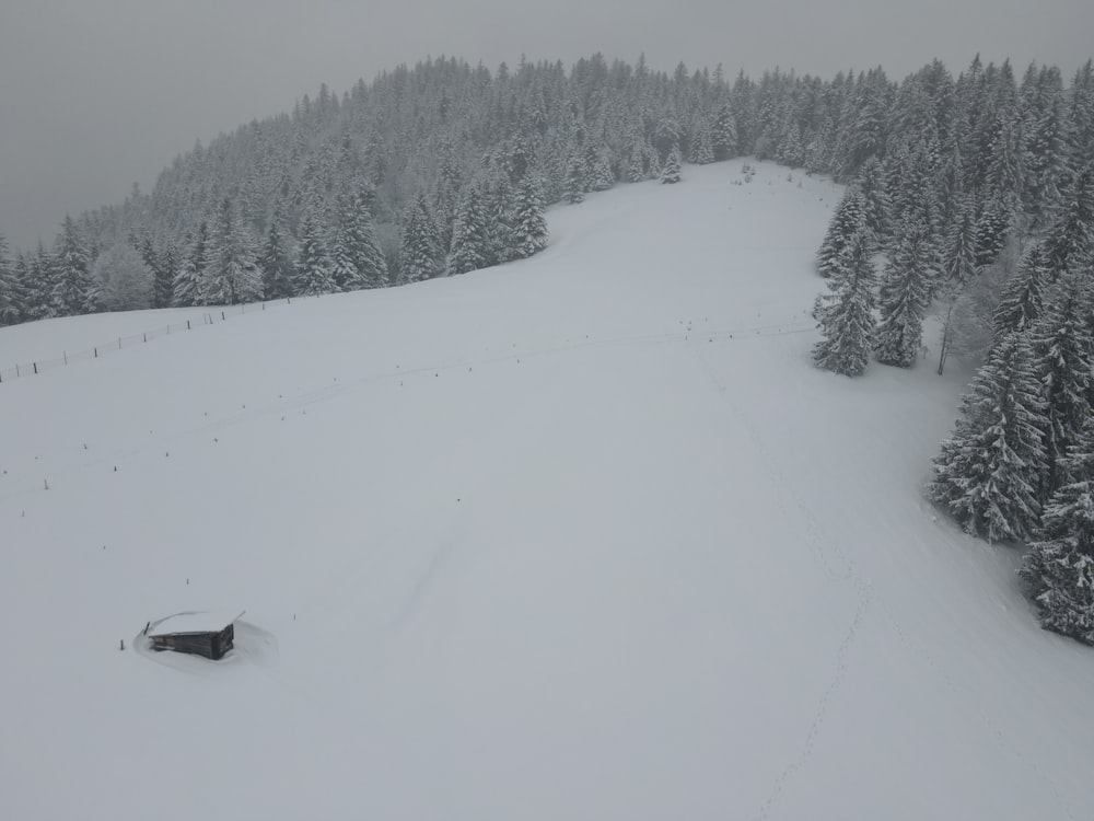 a snow covered ski slope with trees in the background