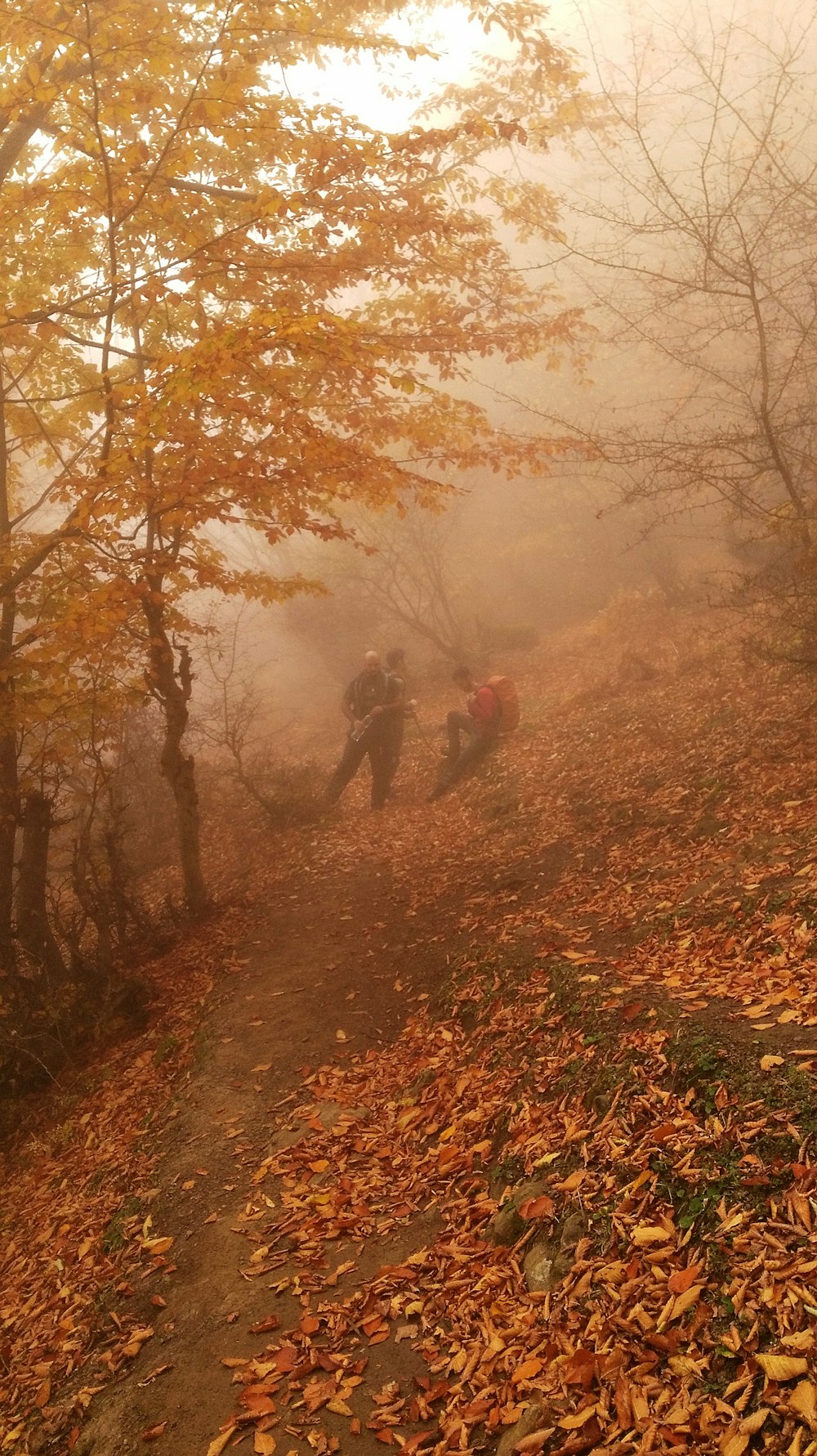 a couple of people walking down a trail in the woods