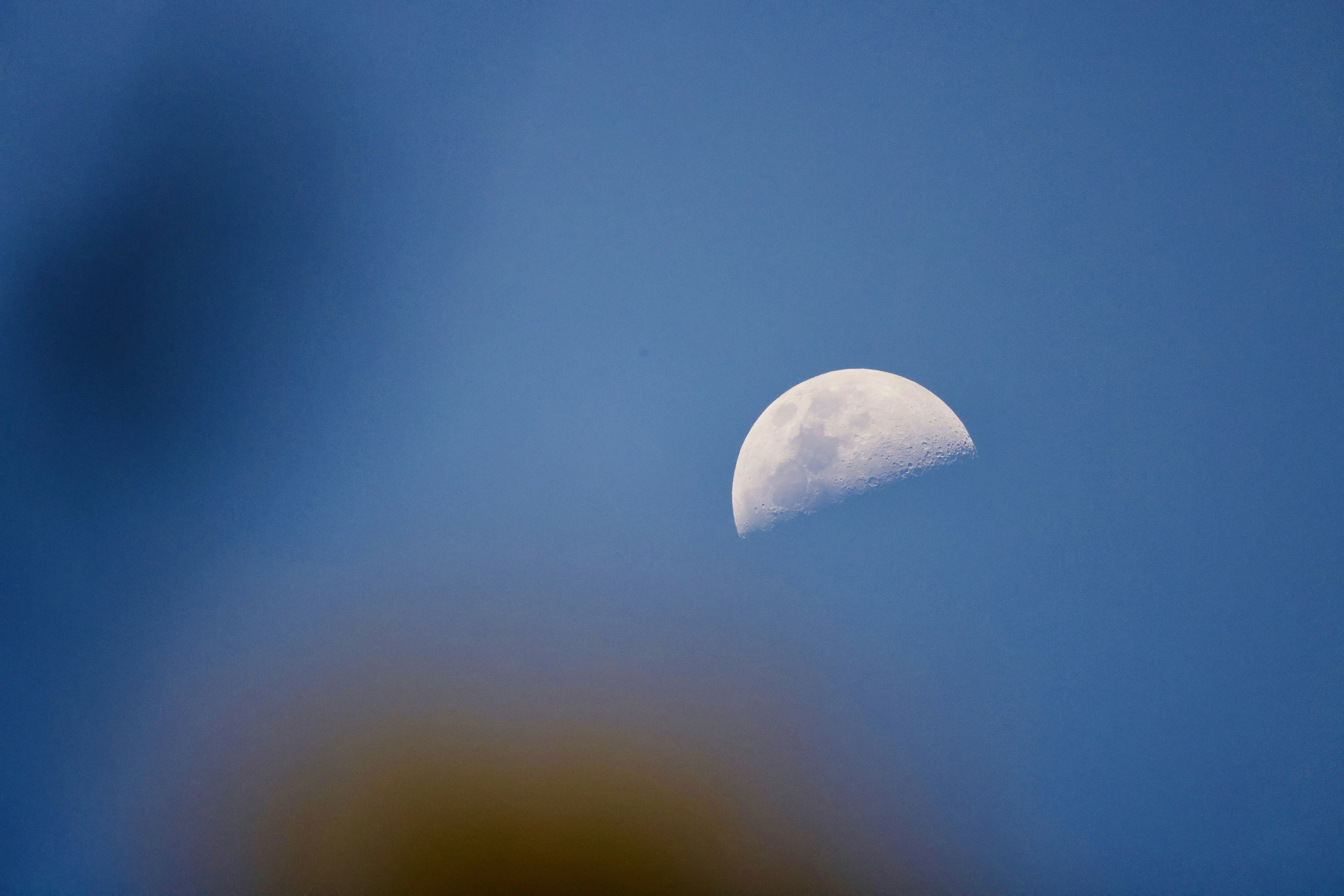 Photo by dickenslin76