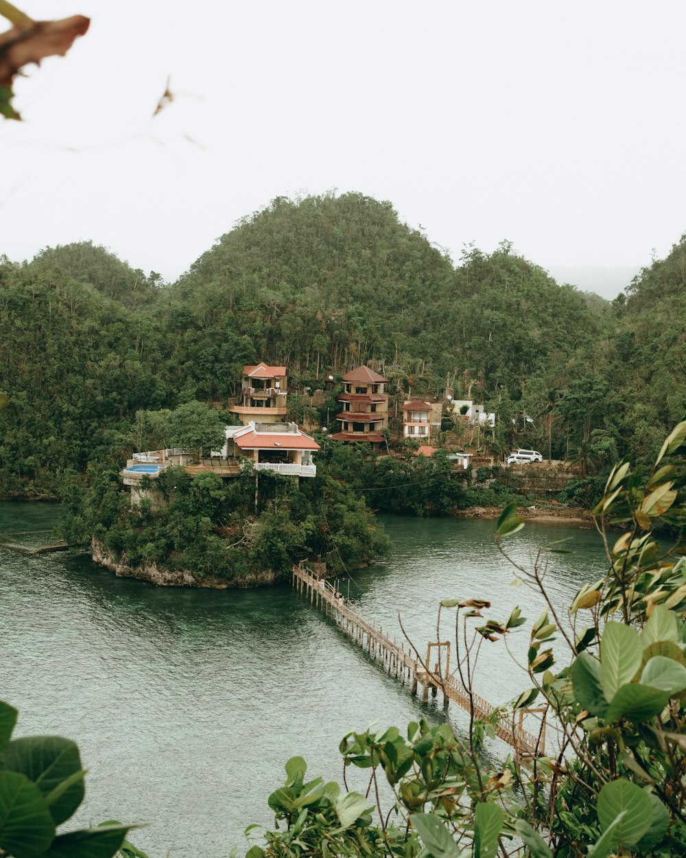 a body of water surrounded by lush green trees