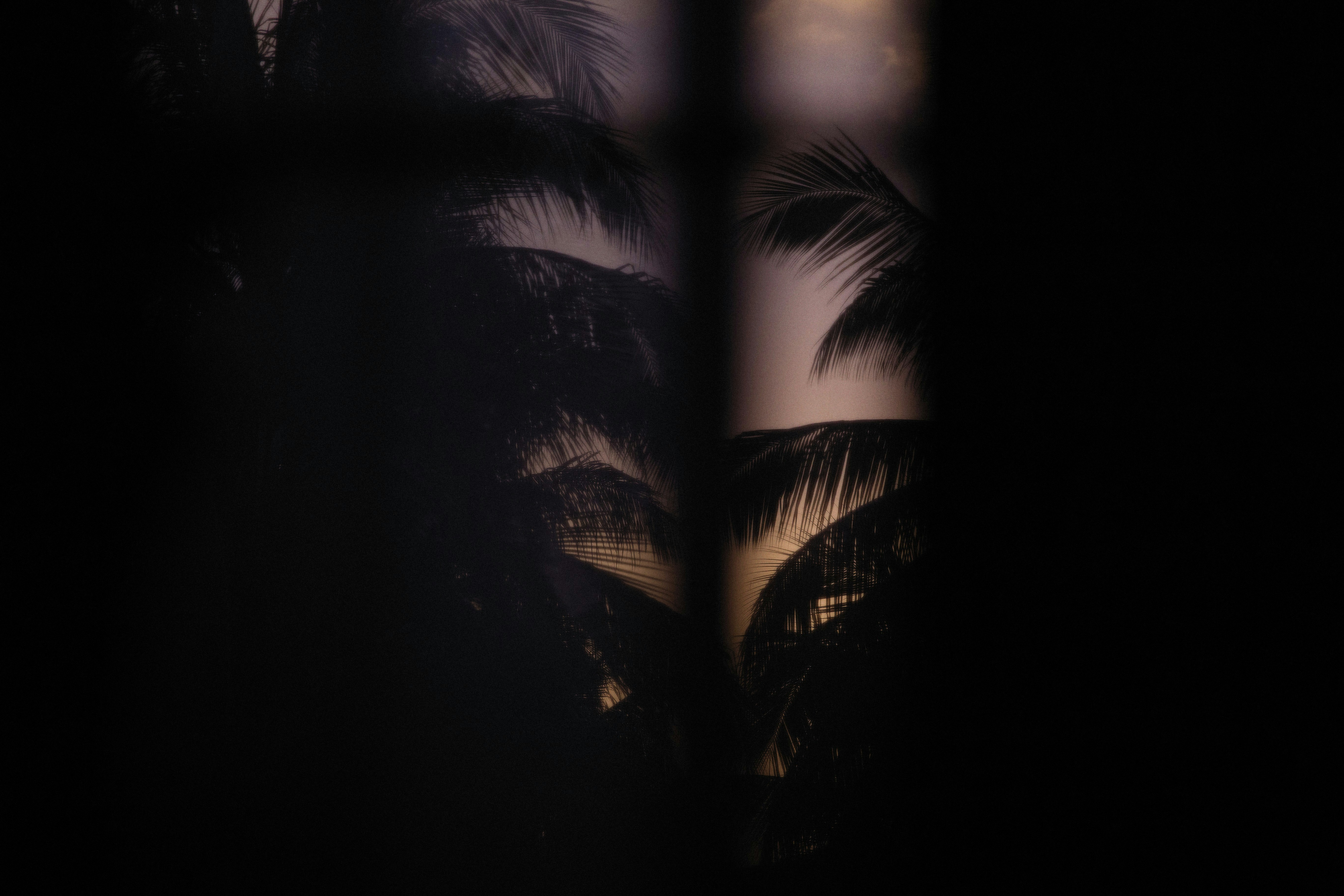 Photo by alexeydemidov