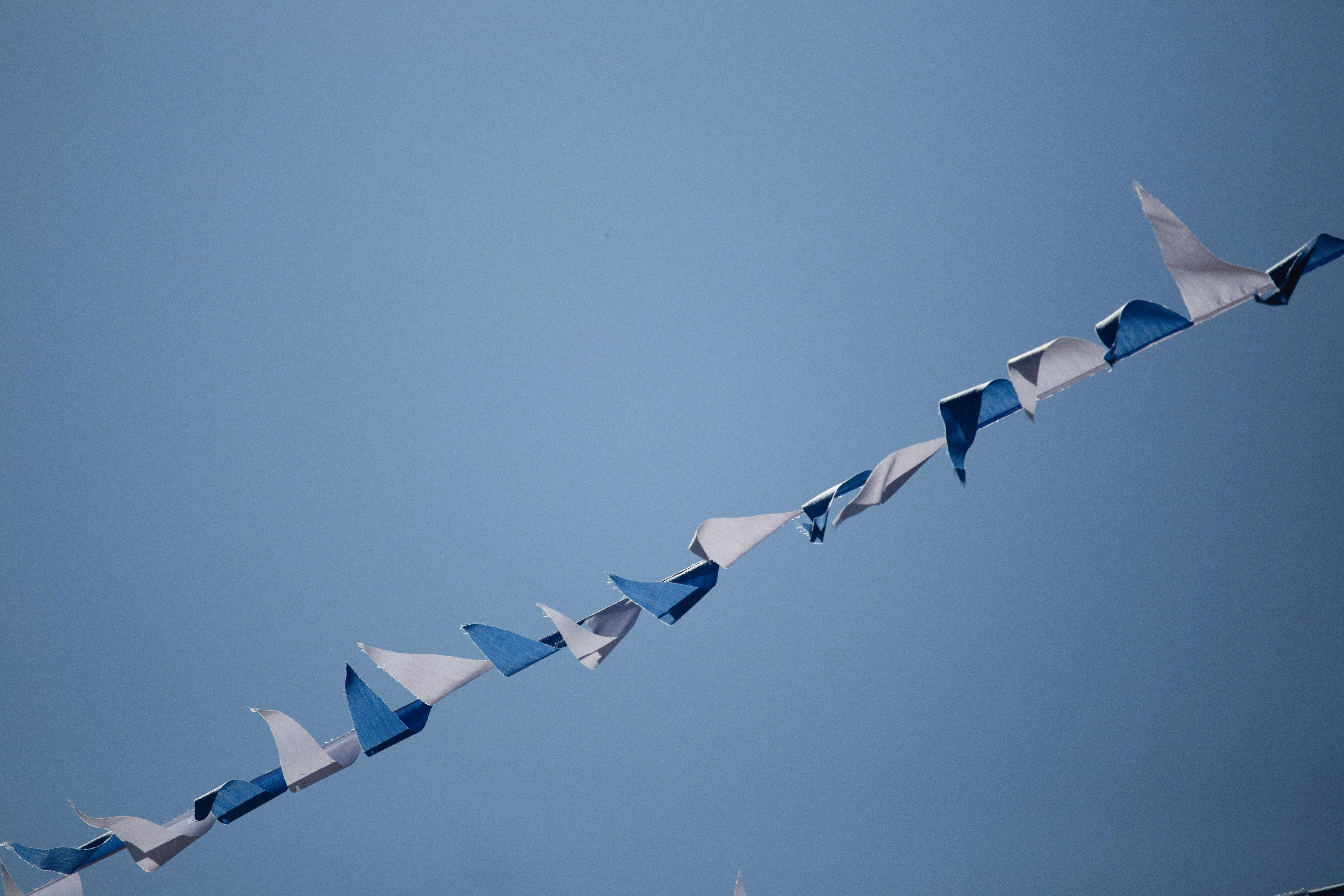 Photo by alexeydemidov