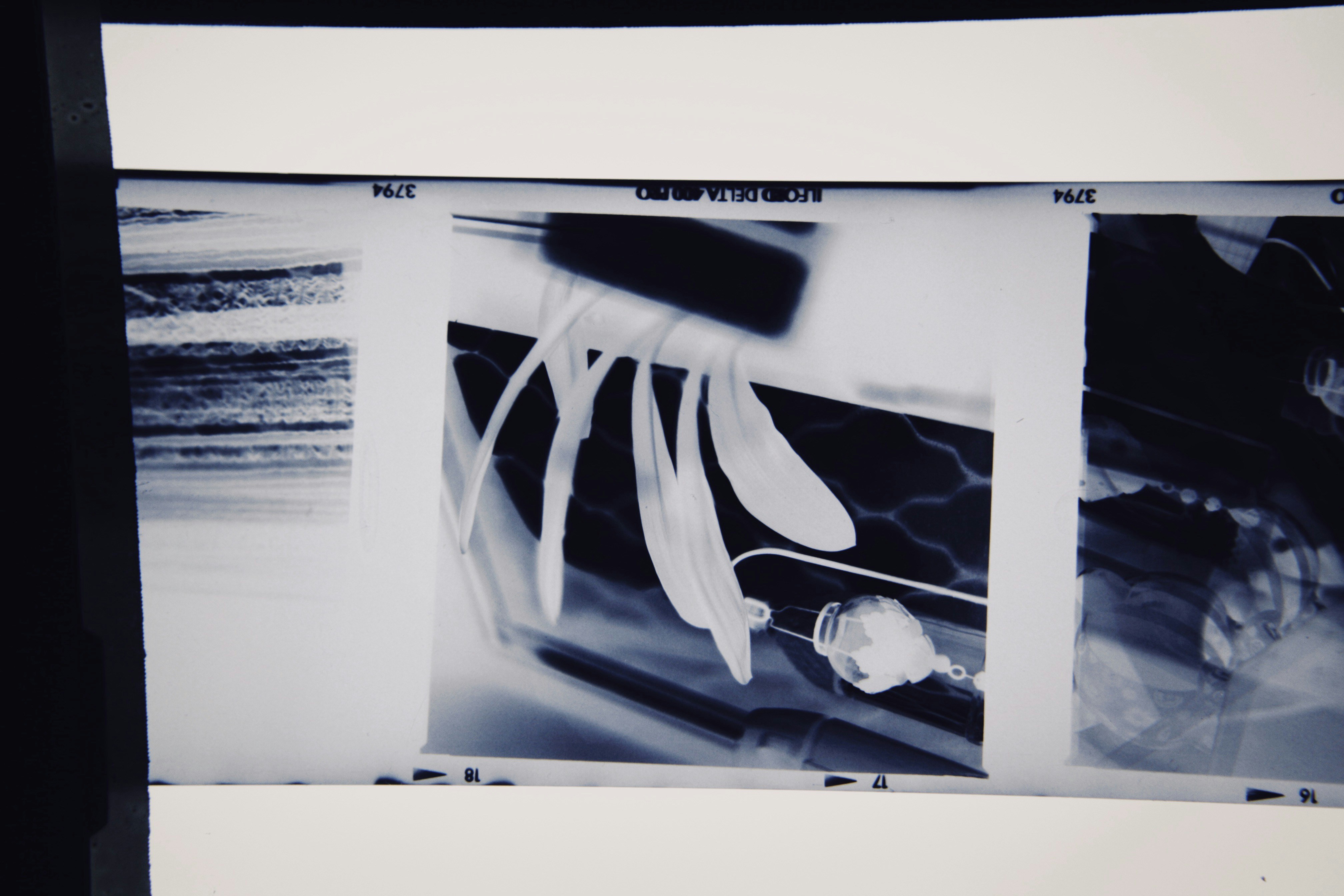 Photo by alexeydemidov