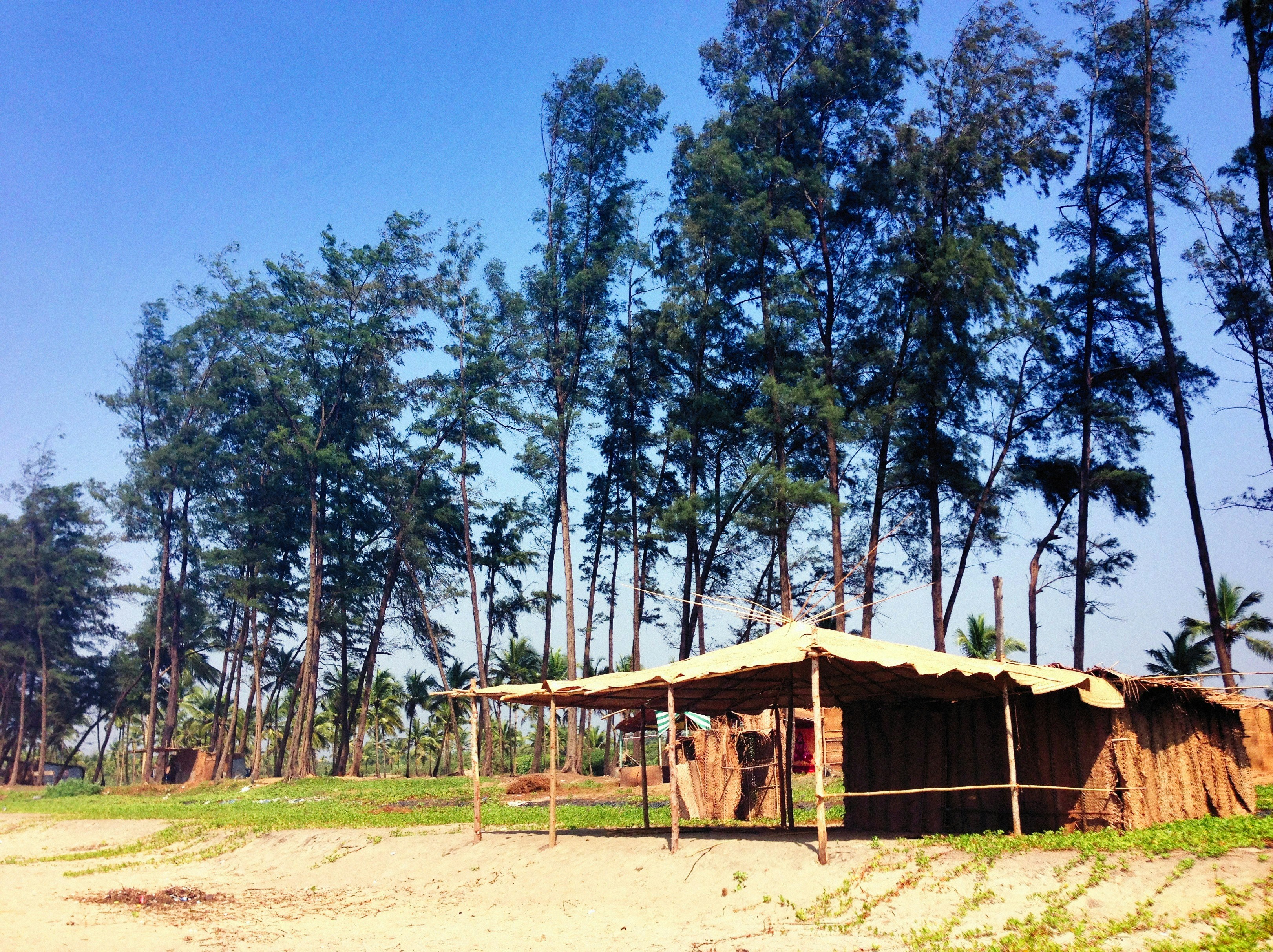 Photo by alexeydemidov