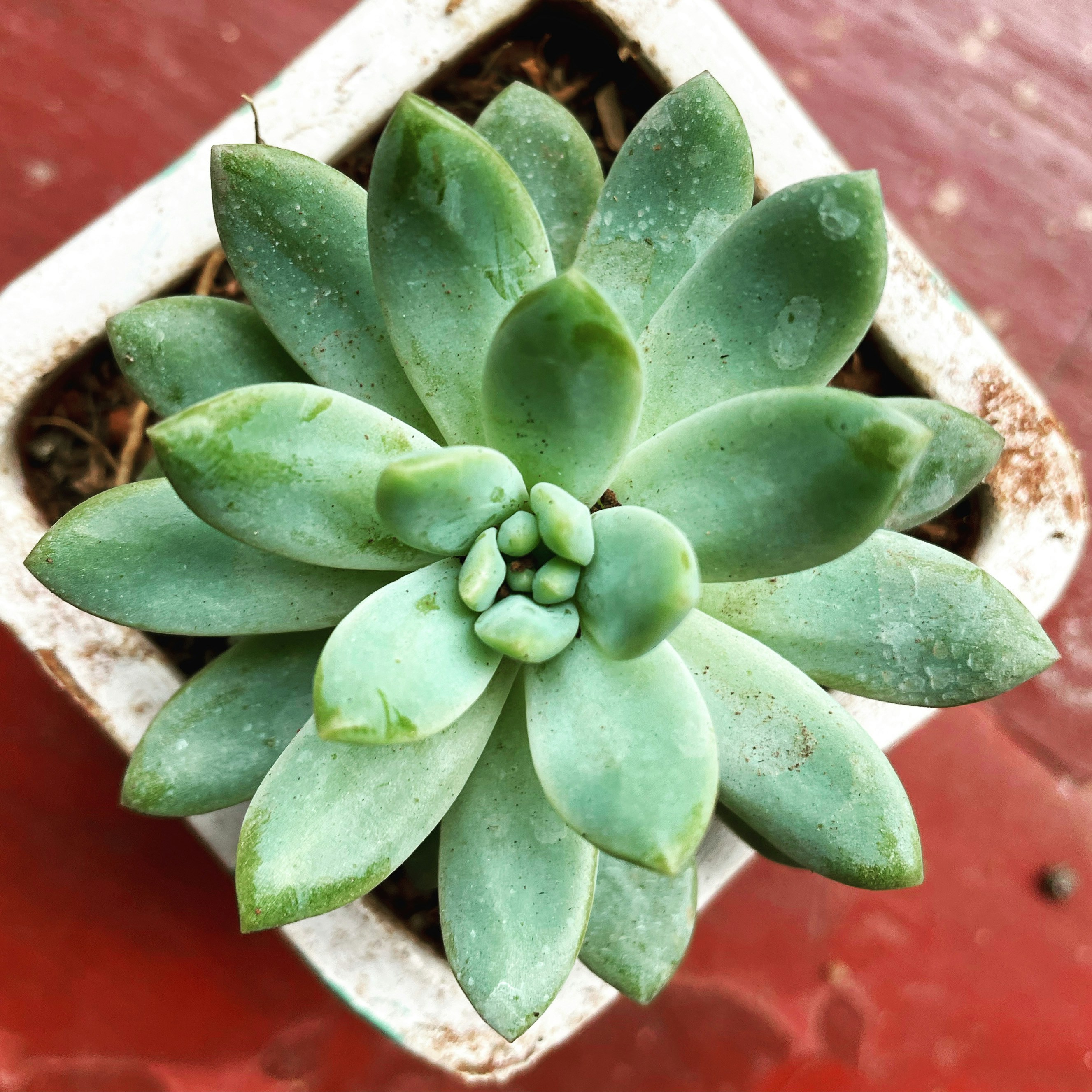 Photo by ravindujayathilaka