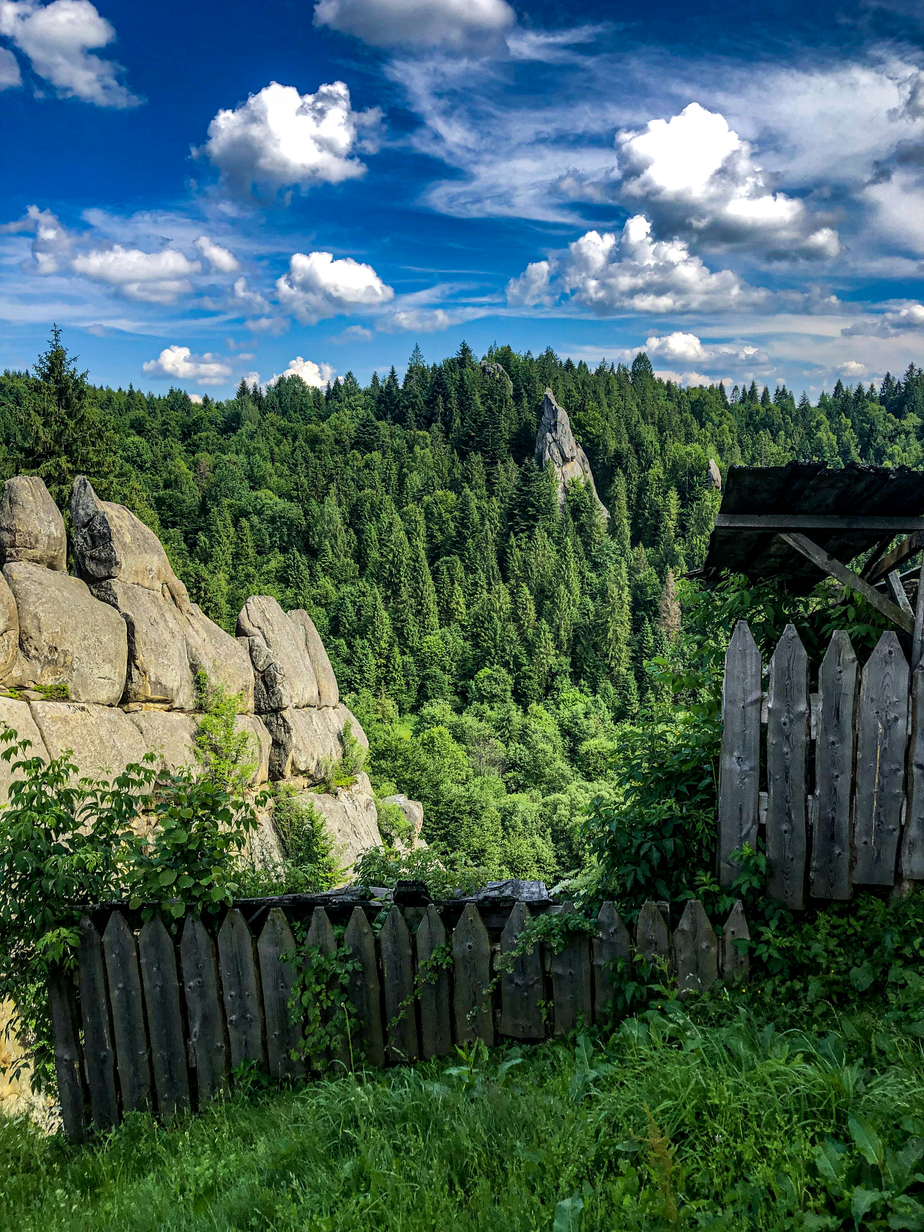 a wooden fence sitting next to a lush green forest