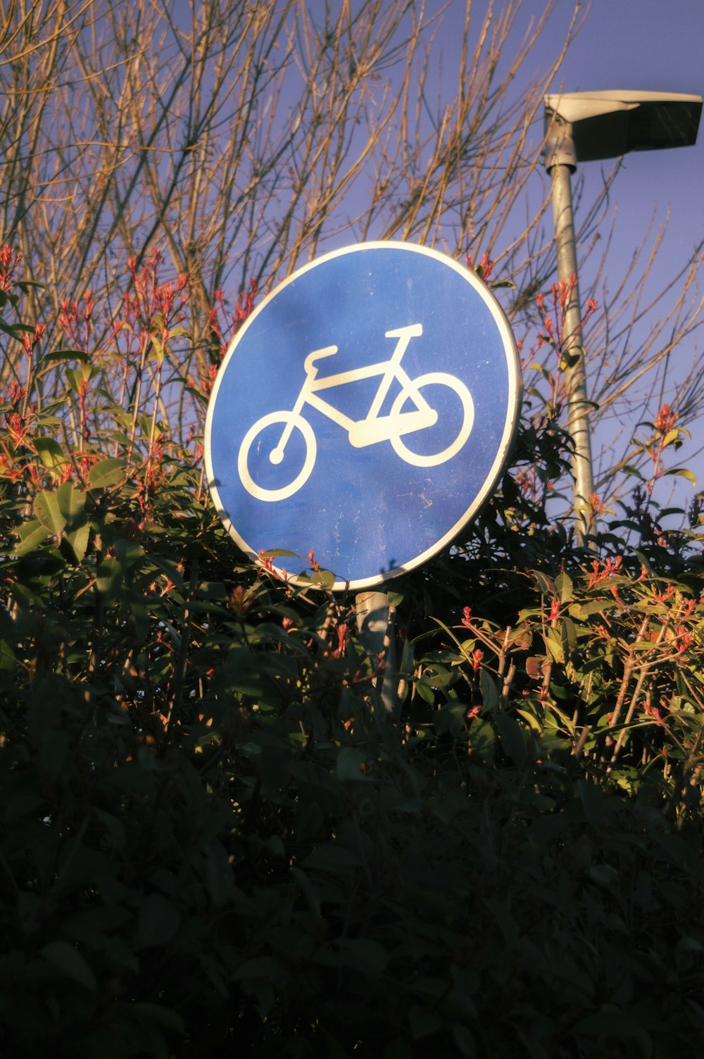 a blue sign with a white bicycle on it