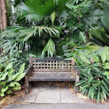 Outdoor teak bench surrounded by lush greenery, showcasing durability and style.