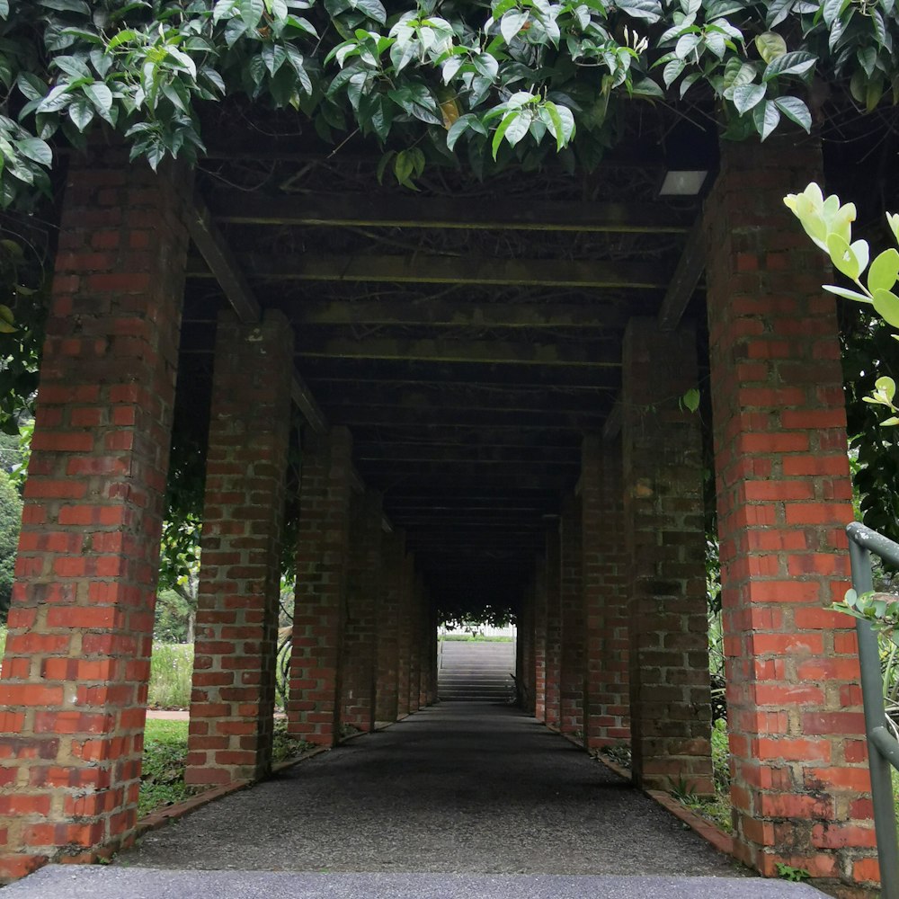 a walkway lined with trees and brick pillars