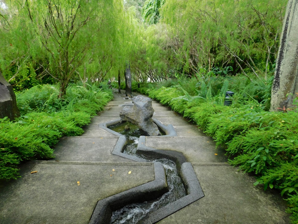 a small stream of water running through a lush green park