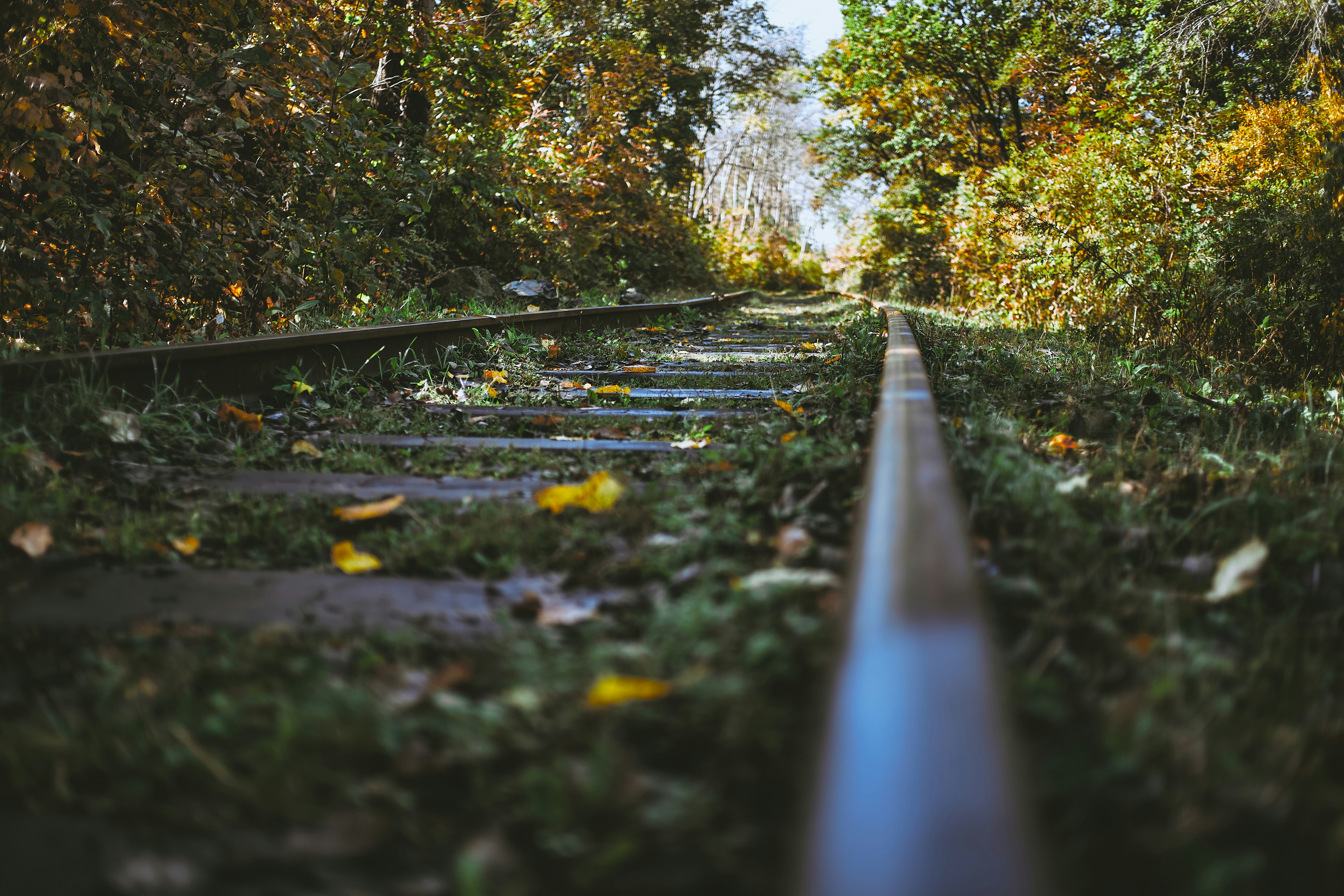 대출 조기상환 타이밍 잘 잡는 법