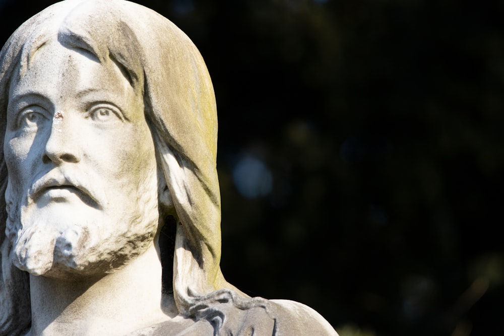 a close up of a statue of a man with a beard