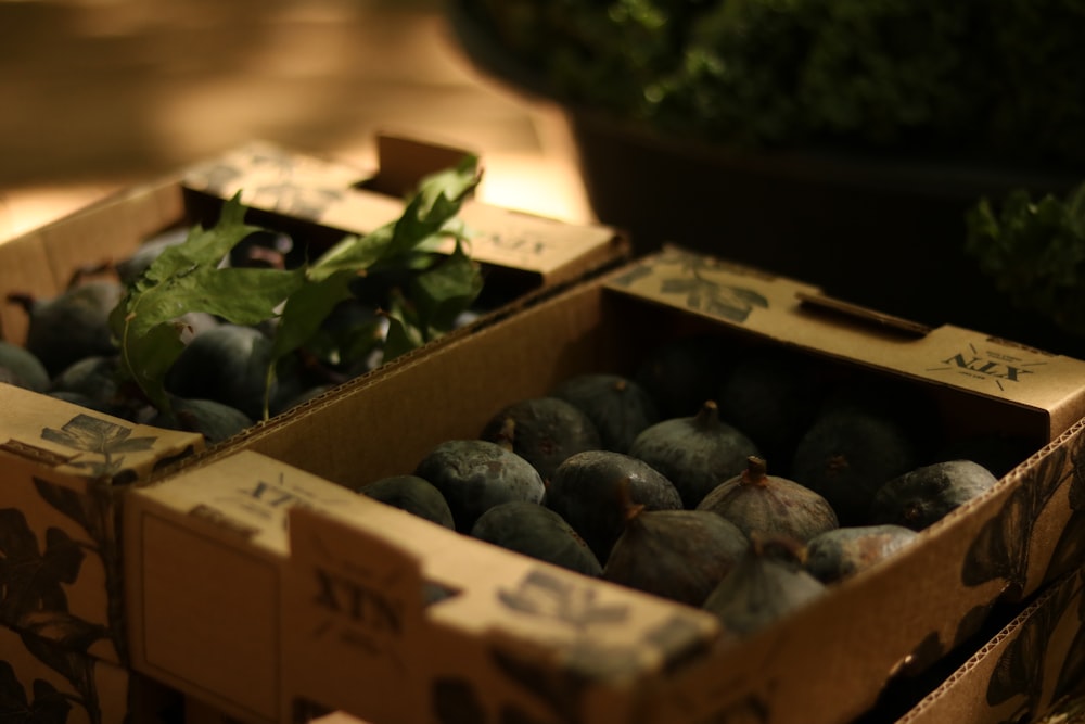 a couple of boxes filled with fruit sitting on top of a table