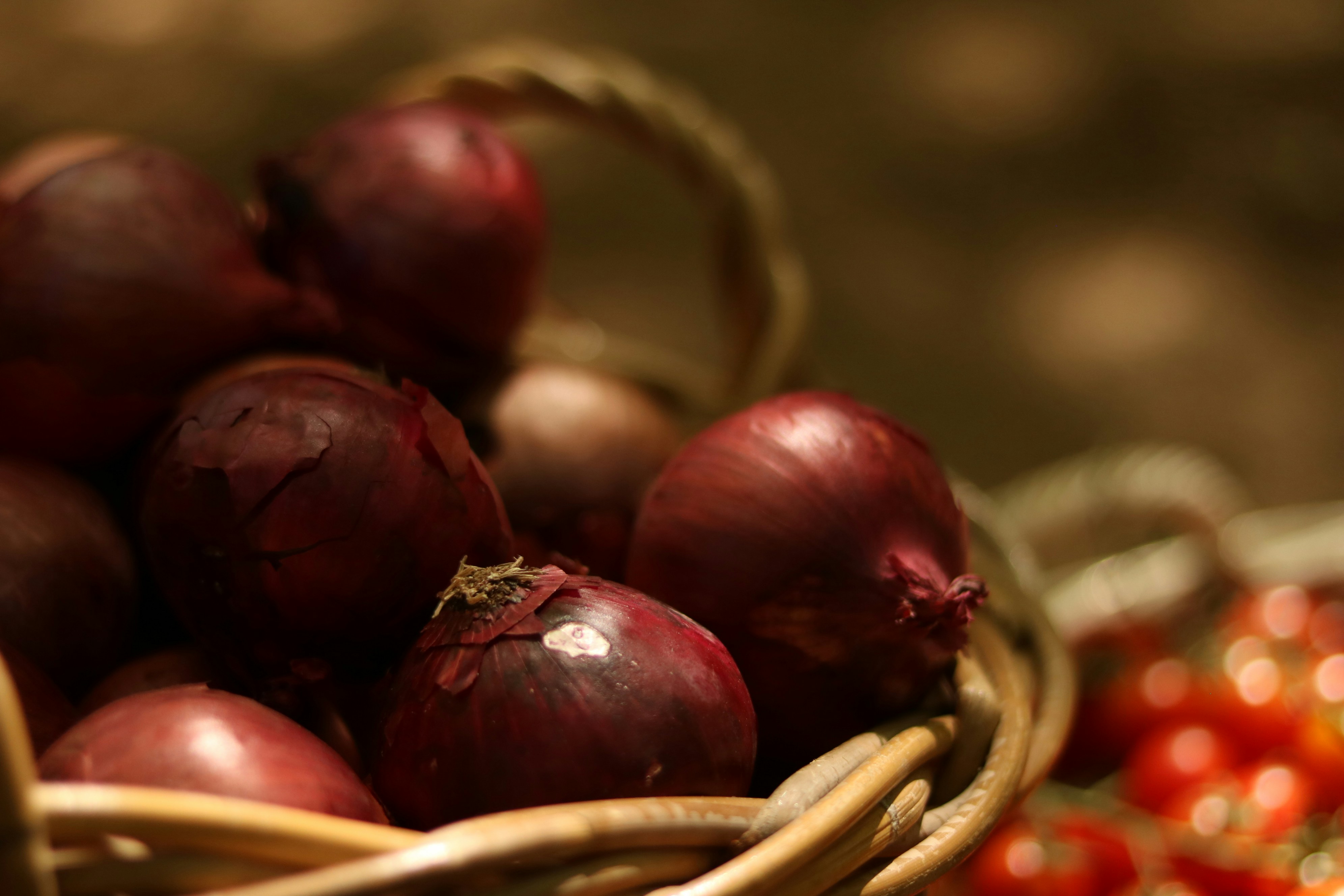 Photo by allysphotos