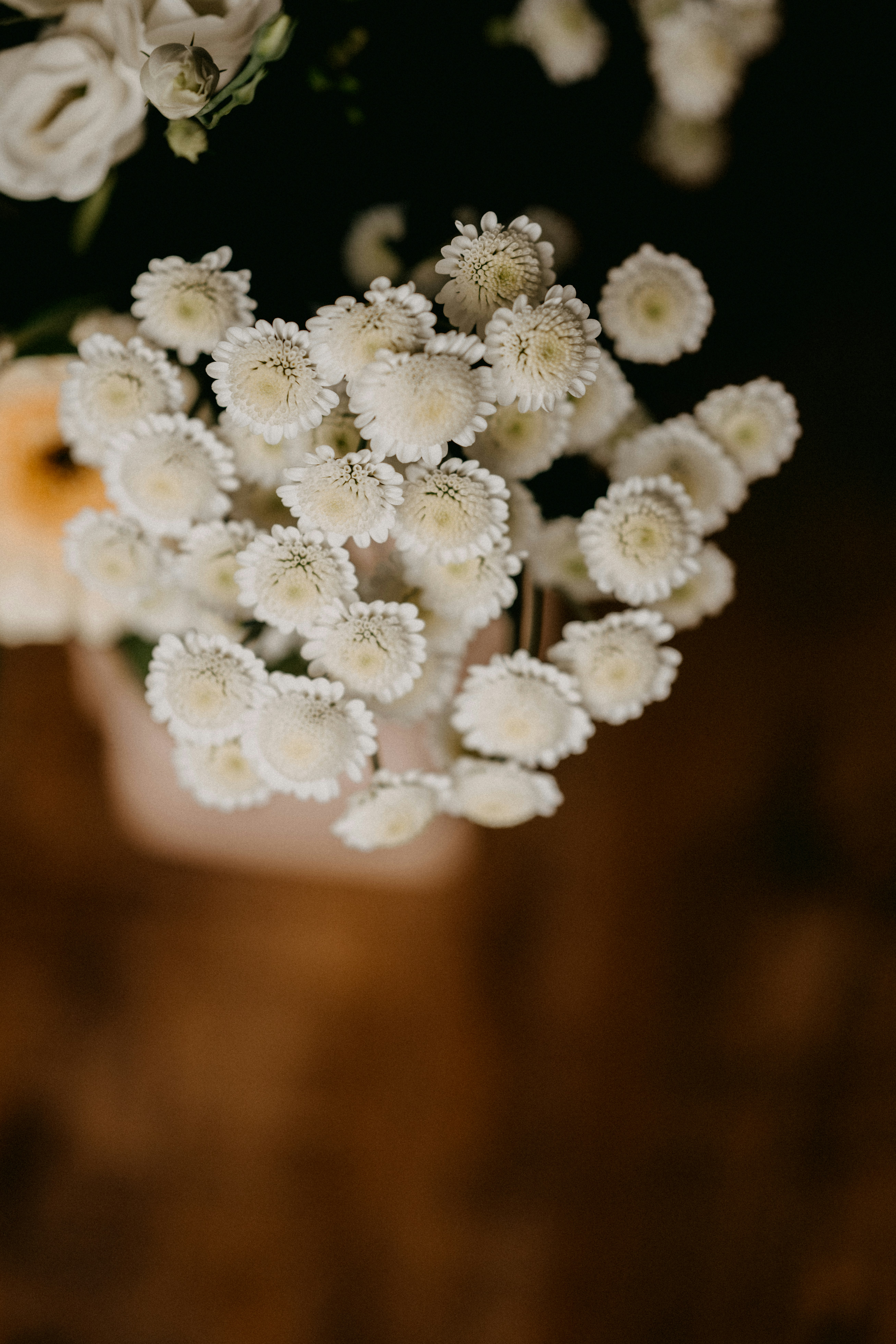 Photo by anniespratt